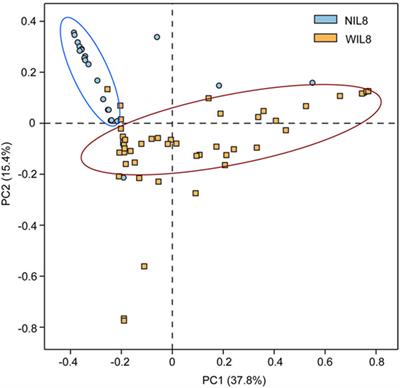 Dysbiosis of the Urinary Microbiota Associated With Urine Levels of Proinflammatory Chemokine Interleukin-8 in Female Type 2 Diabetic Patients